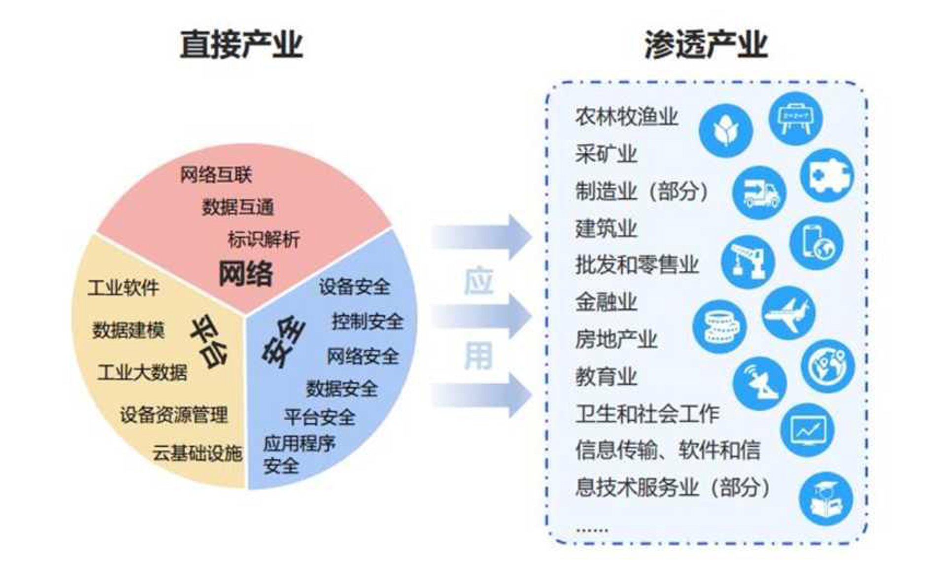 枝干网络